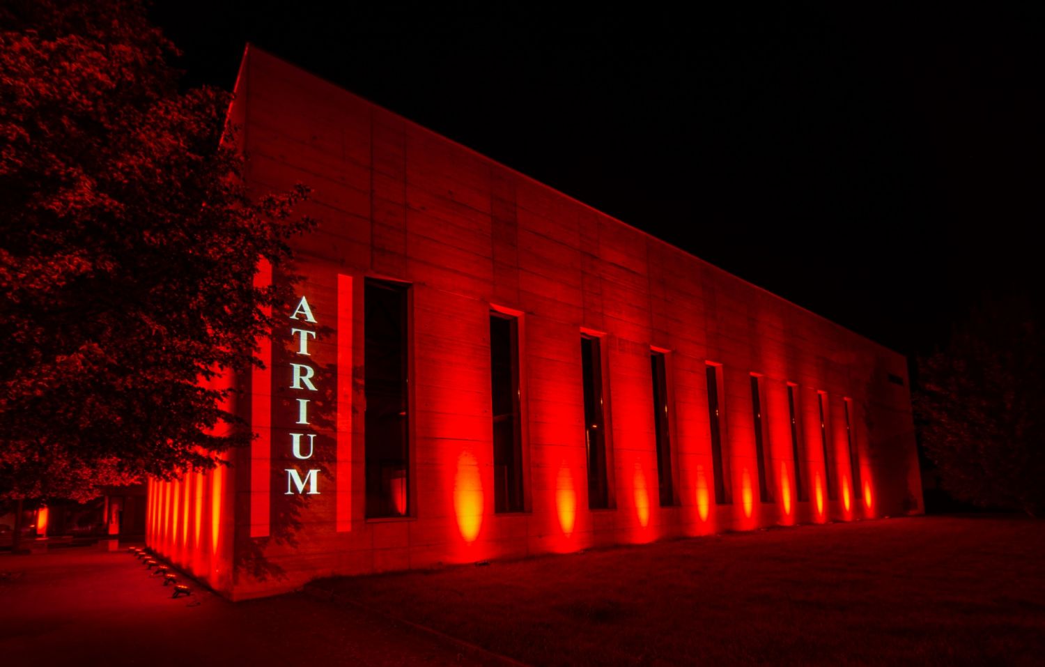 Salle Atrium, Vicques